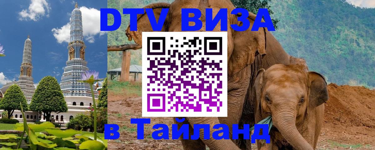 Сколько стоит DTV виза — актуальные цены, оформление даже без документов - Реутов  04.10.2025 